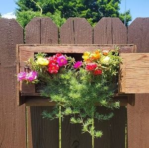 Meet your Posher, Sheldon